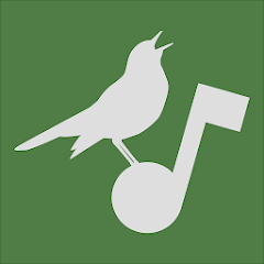 app.avesvox logo