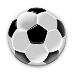 com.schleinzer.naturalsoccer_paid logo