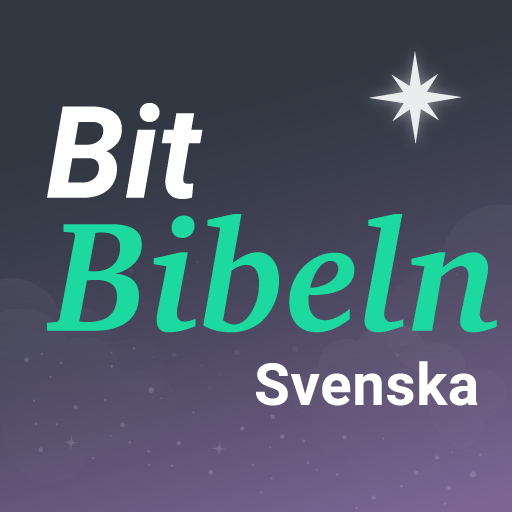 net.bitbible.sv logo