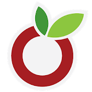 com.headcode.ourgroceries logo