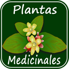 com.appsalanya.plantasmedicinalesgratis logo