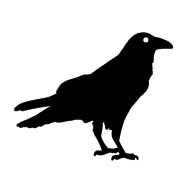 com.technicdynamic.raven logo