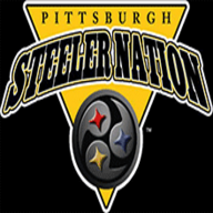 com.tapatalk.steelernationcom logo