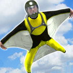 sports.wingsuit.Championships logo