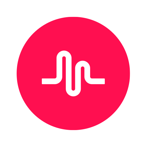 com.zhiliaoapp.musically logo