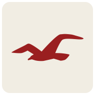 com.abercrombie.hollister logo