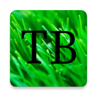 rocks.tbog.tblauncher logo