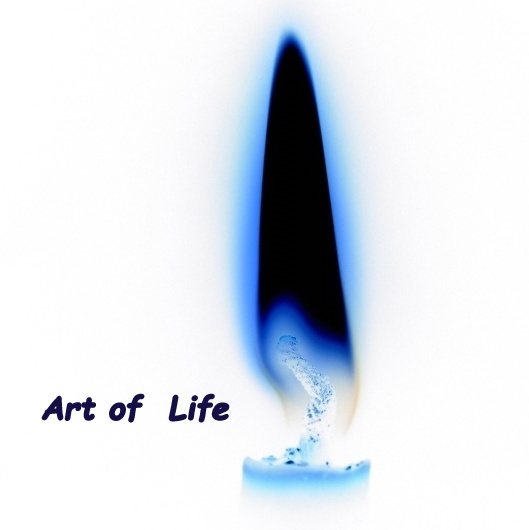 com.artlife.android.lifeupgrade logo