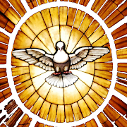 com.subsplash.thechurchapp.s_3XCXWR logo