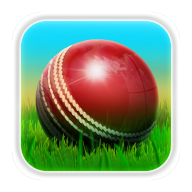 com.dumadugames.cricket logo