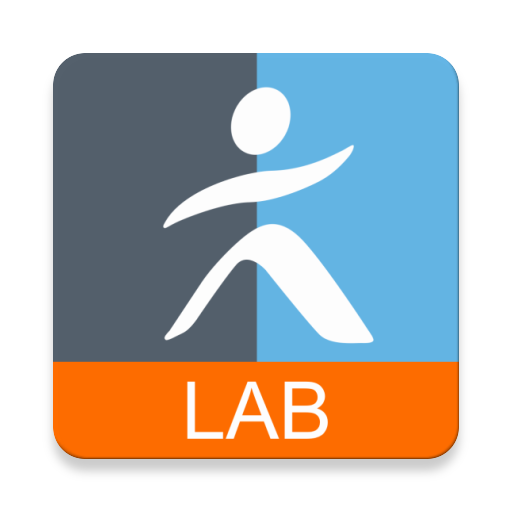 com.vianavigo.androidlab logo