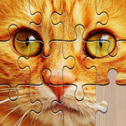 org.rad.puzzle logo
