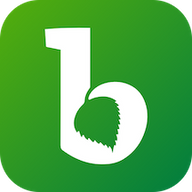 de.bb.birkenwerder.smartvillage.app logo