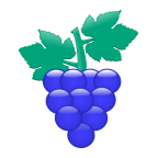 com.grapevideoapp logo