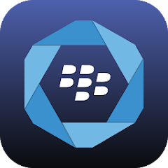 com.blackberry.infrastructure logo