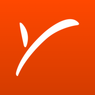 com.payoneer.android logo