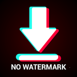 download.video.tiktok.downloader.no.watermark.snaptik.app logo