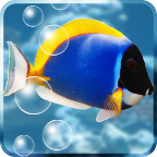 fishnoodle.aquarium_free logo