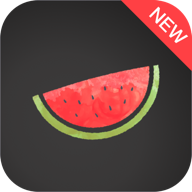 com.vpnbottle.melon.free.unblock.fast.vpn logo