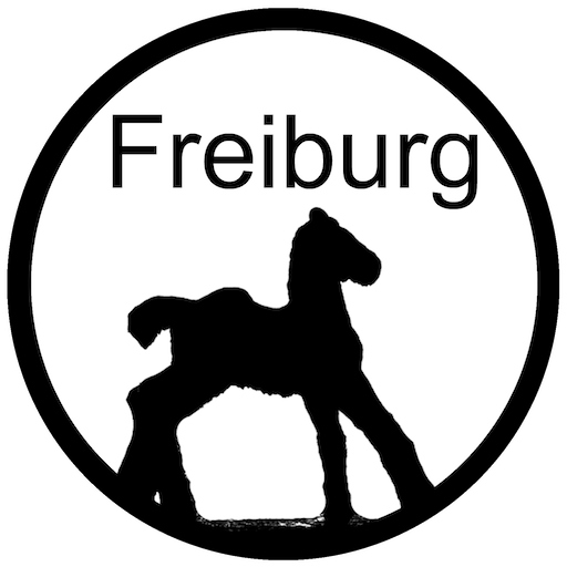 de.moocit.freiburgspiel logo