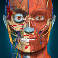 com.AnatomyLearning.Anatomy3DViewer3 logo