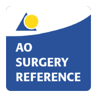 af.org.aofoundation.AOSR logo