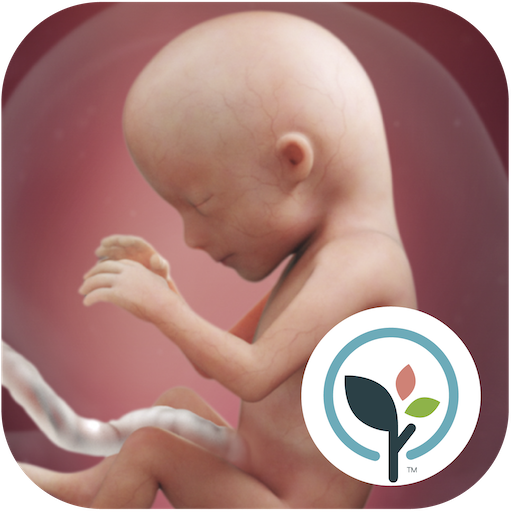 com.babycenter.pregnancytracker logo