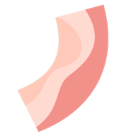 de.kamibox.bacon logo