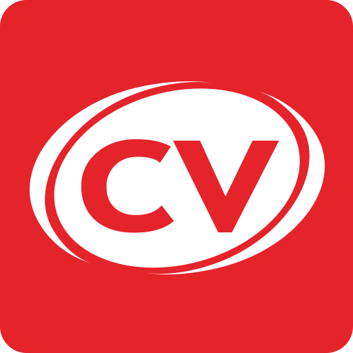 com.diginet.cvbankas.lt logo