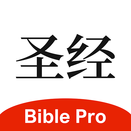 com.zhunei.biblevip logo