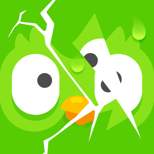 com.duolingo logo