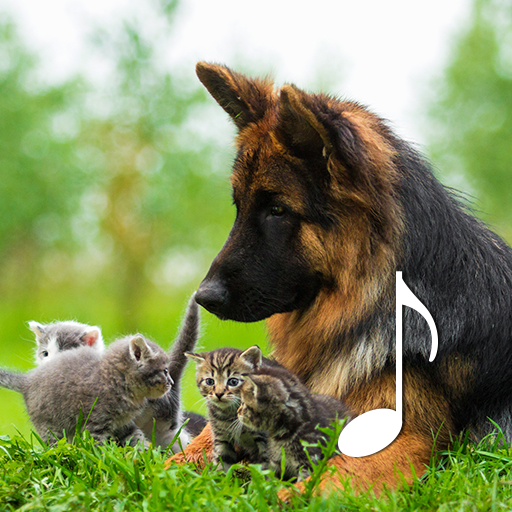 com.baneapps.cat.and.dog.sounds logo