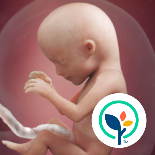 com.babycenter.pregnancytracker logo