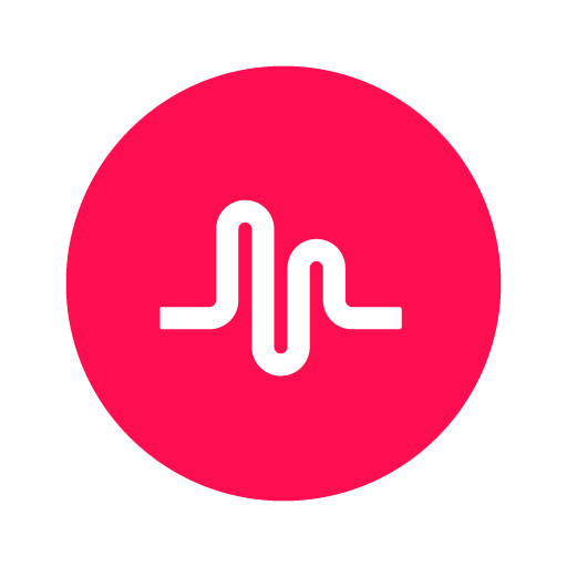 com.zhiliaoapp.musically logo