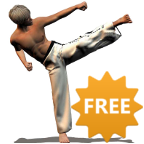 de.vorlesungsfrei.taekwondo.ads logo