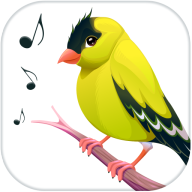 com.bestringtonesapps.birdcallssoundsandringtones logo