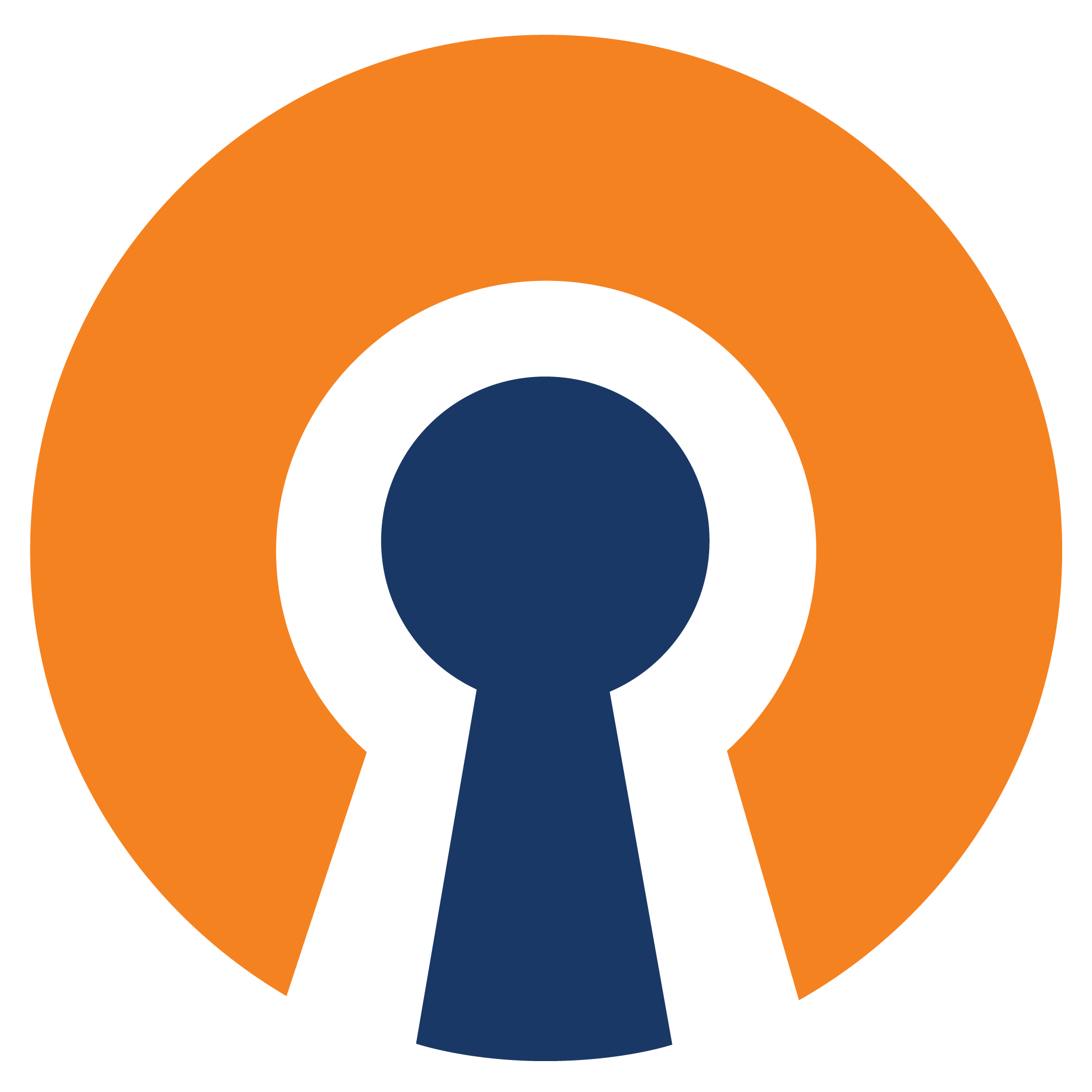 net.openvpn.openvpn logo