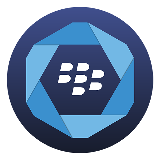 com.blackberry.infrastructure logo