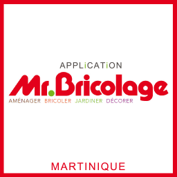com.app_mrbricolagemq.layout logo