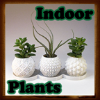 plants.in.home logo