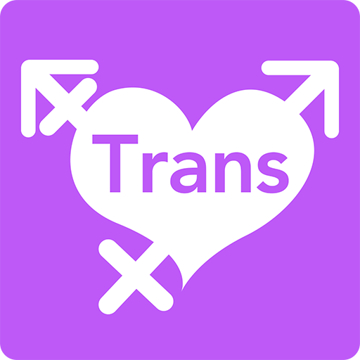 biz.trans logo