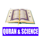 ummufahmi.android.quran_science_islam logo