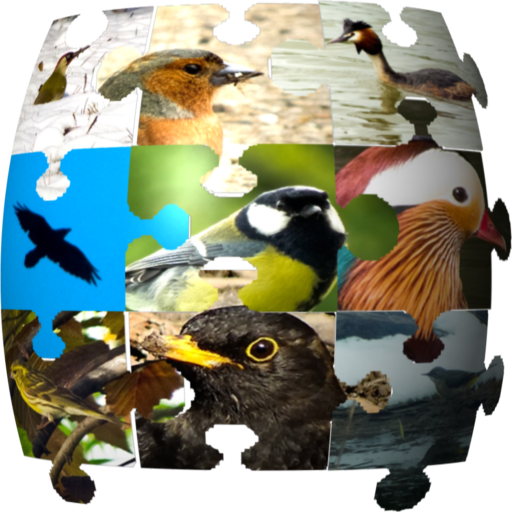 org.ornithopedia.Europe logo