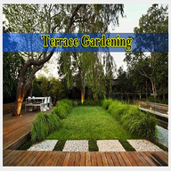 com.TerraceGardening.rollingdev logo