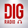 com.icreo.digradio logo