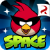 com.rovio.angrybirdsspace.ads logo