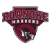 com.internetconsult.android.roanoke logo