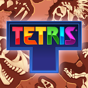 com.n3twork.tetris logo