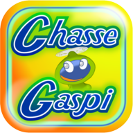 fr.es.chasseogaspi logo