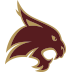 com.internetconsult.android.txstate logo